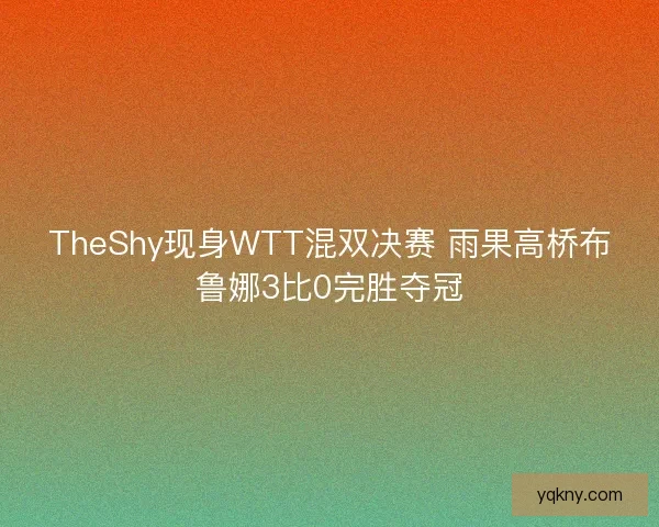 TheShy现身WTT混双决赛 雨果高桥布鲁娜3比0完胜夺冠